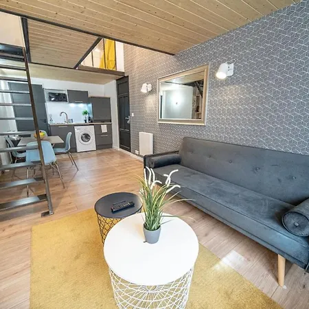 Spacious Renovated Loft - - Guillotière Lione