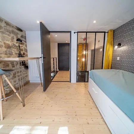Apartment Spacious Renovated Loft - - Guillotiere
