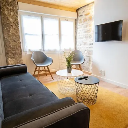 Spacious Renovated Loft - - Guillotiere Apartment *
