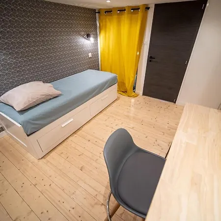 Spacious Renovated Loft - - Guillotiere Apartment Lyon